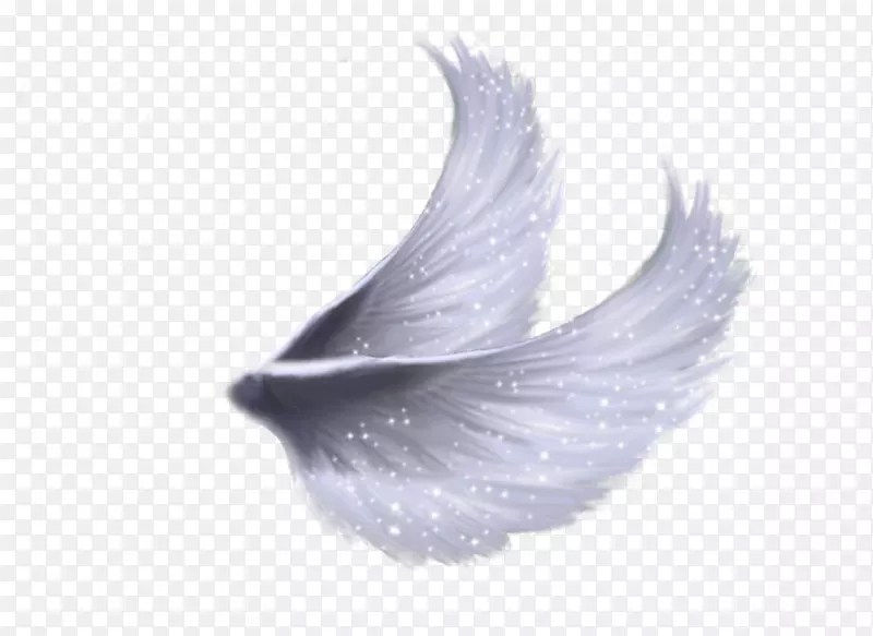 翅膀图像剪辑艺术-羽毛白色