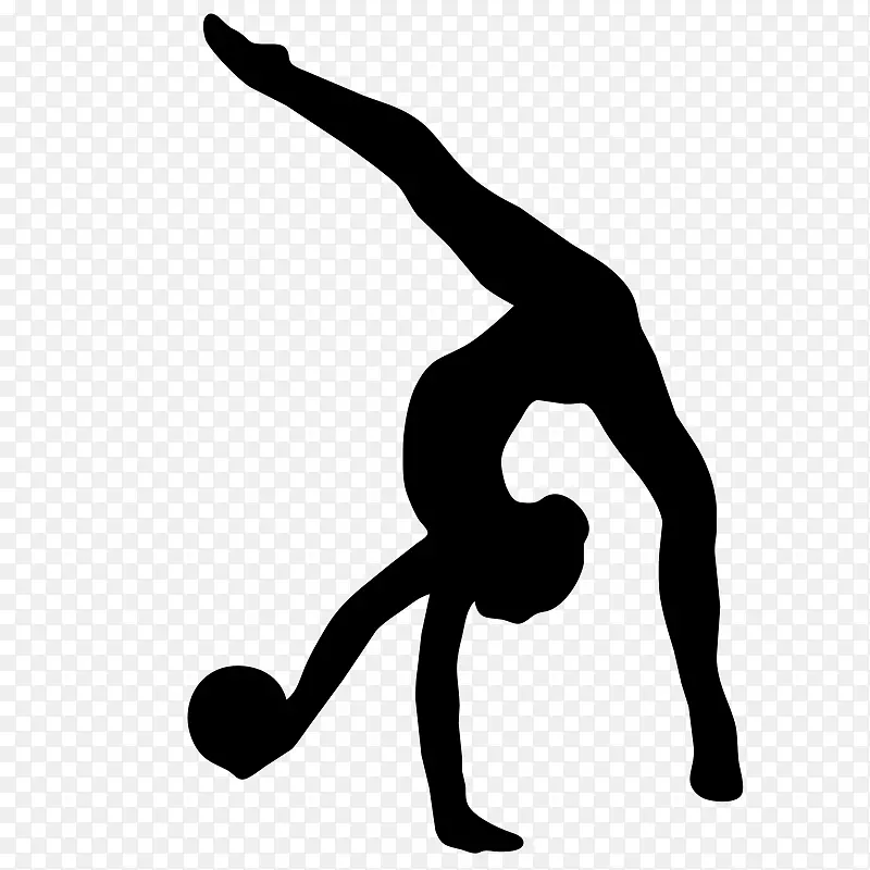 2016年夏季奥运会艺术体操彩带球体操女子艺术个人全能体操