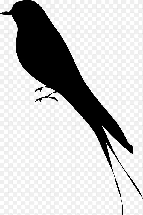鸟类剪影艺术-欧洲知更鸟