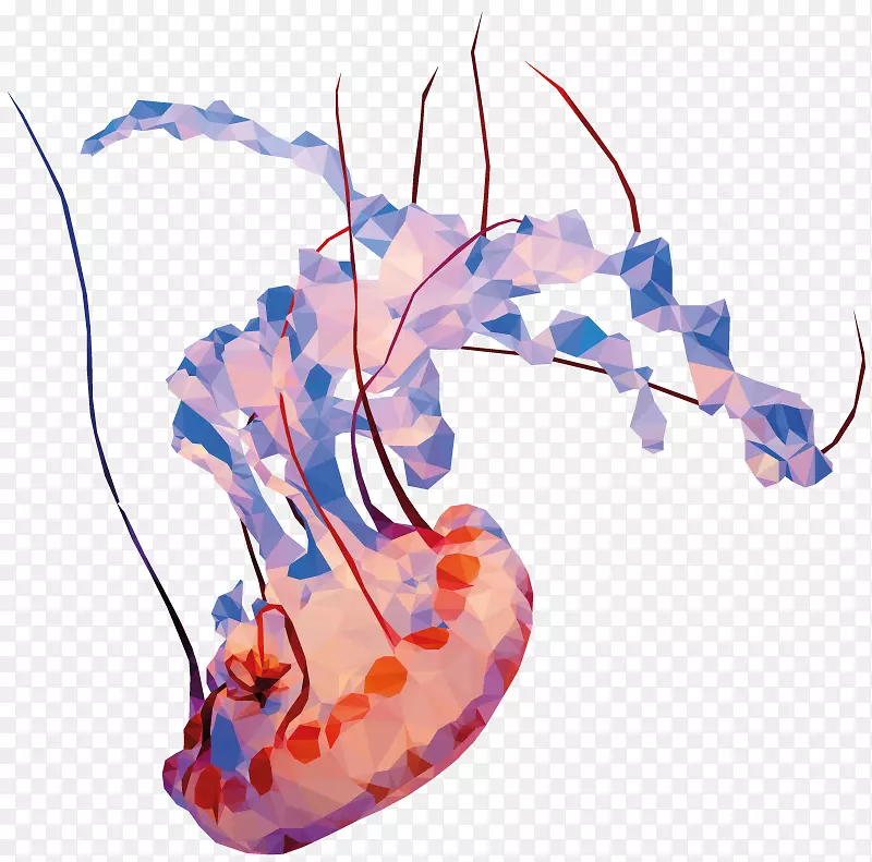 生物字体-水下插图