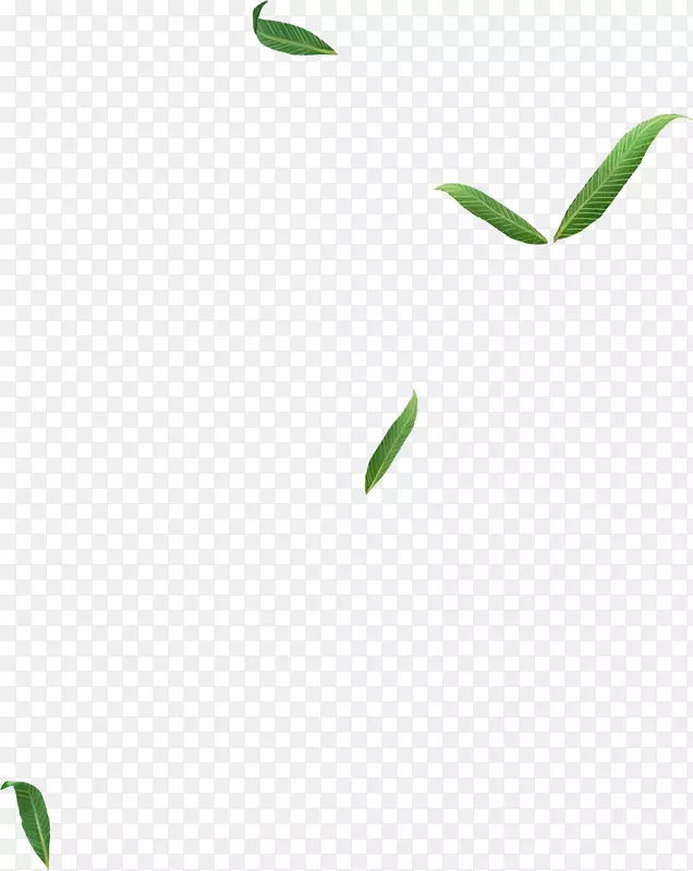 叶标志植物茎线字体-叶