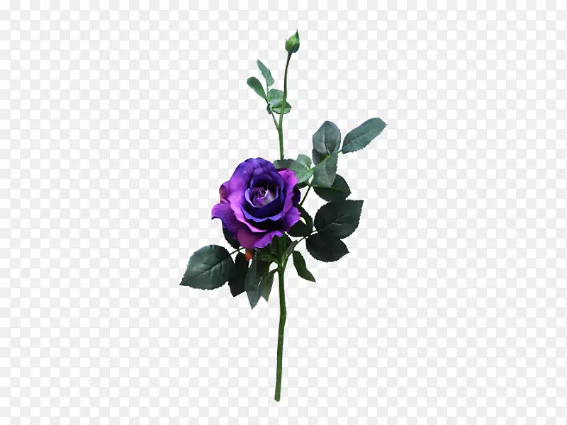 玫瑰切花紫色花束花卉图案-玫瑰