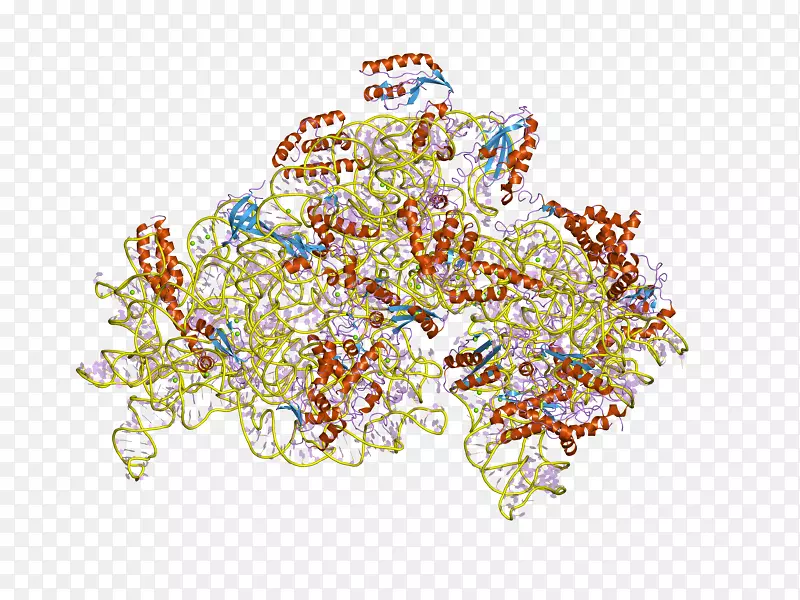 S4蛋白结构域pfam核糖体蛋白
