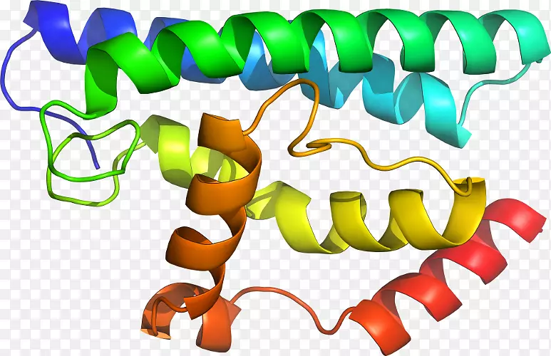 生物剪贴术-谷胱甘肽转铁酶mu1