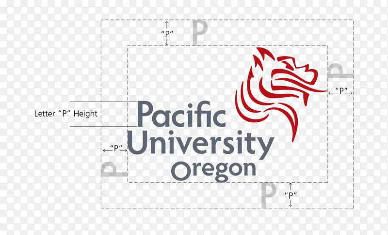 太平洋大学拳击手刘易斯克拉克学院太平洋大学-太平洋大学