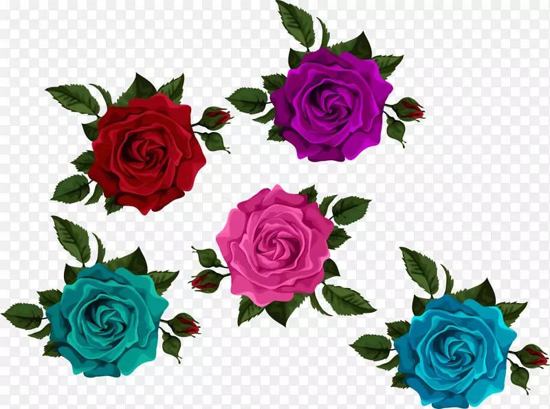 花园玫瑰，甘蓝，玫瑰，切花，剪花艺术