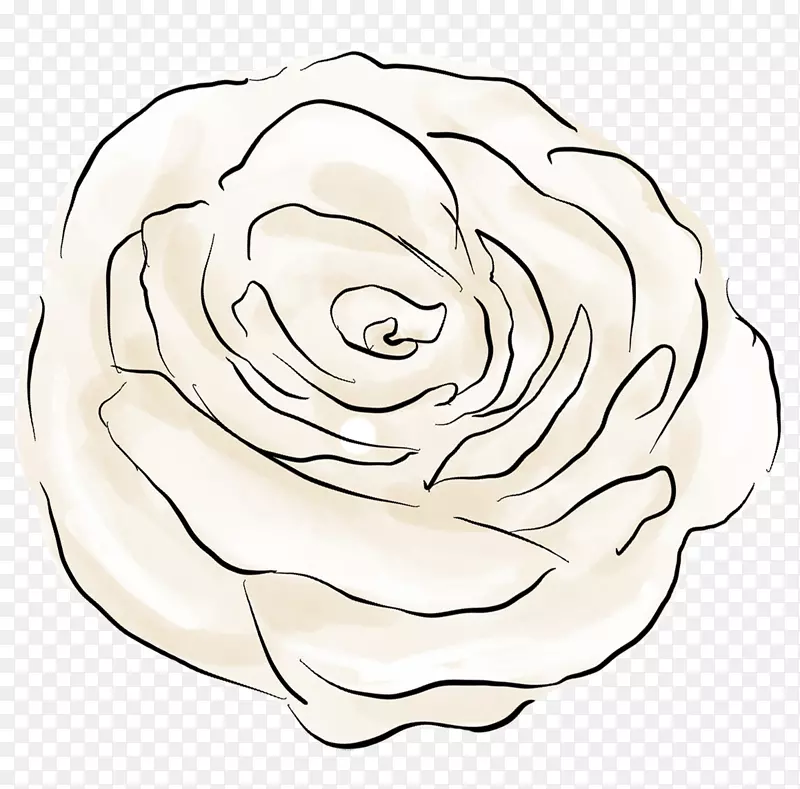 花园玫瑰画花设计切花设计
