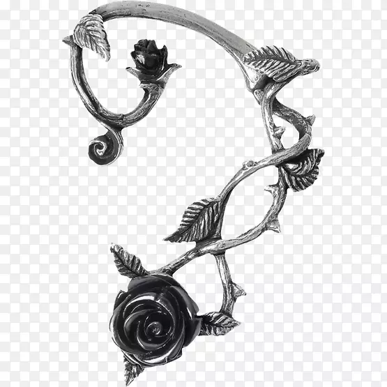 耳环项链玫瑰魅力和吊坠珠宝.项链