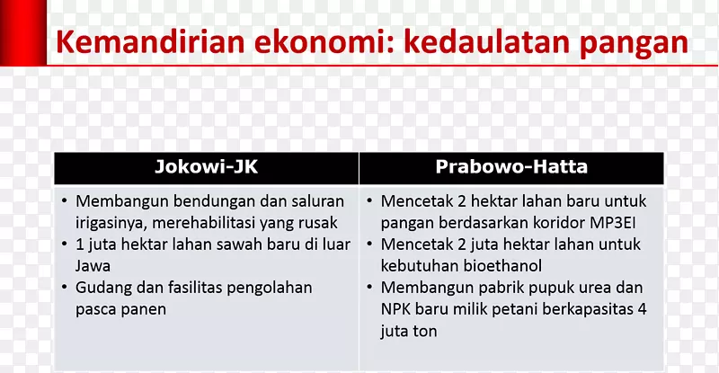 印尼经济-Jokowi