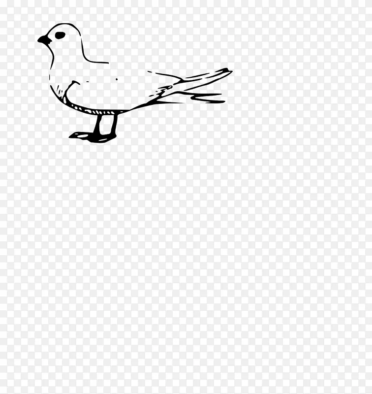 海鸥鸭鸟夹艺术-鸭