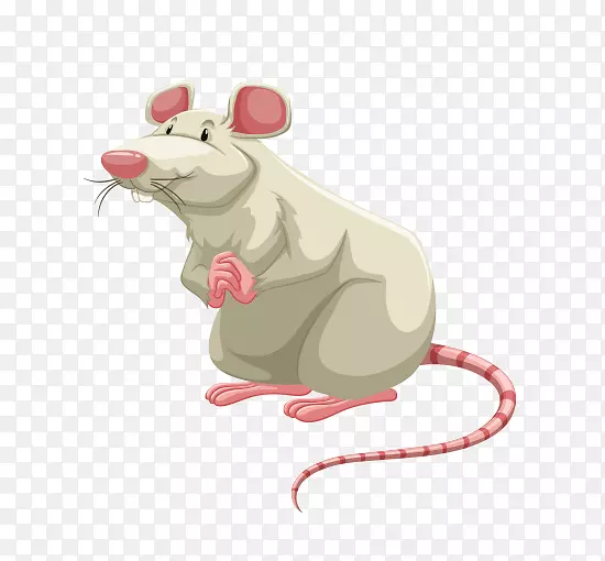 鼠剪贴画-老鼠