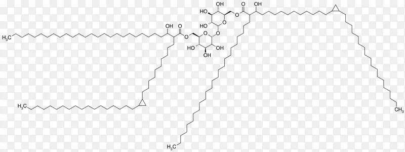 白点角字体线