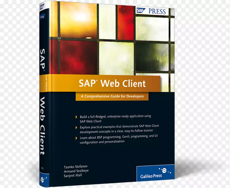 测试自动化MIT sap：SAP银行erfolgreich Einführen计算机软件sap se Sapui 5：全面指南用户体验-玫瑰完整指南