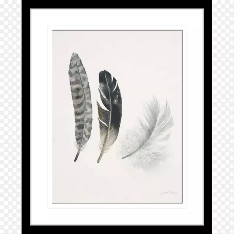 羽毛油画艺术-羽毛