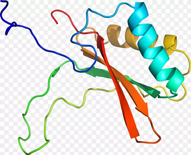 线点生物剪贴画线