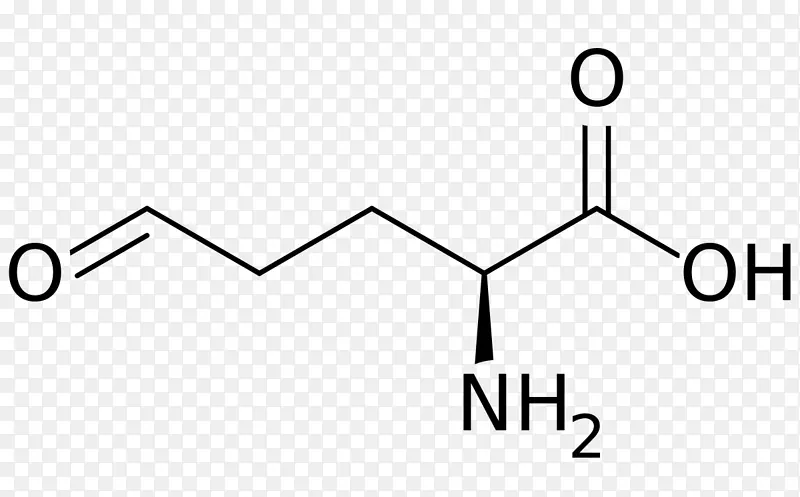谷氨酸-5-半醛氨基酸β-甲基氨基-l-丙氨酸