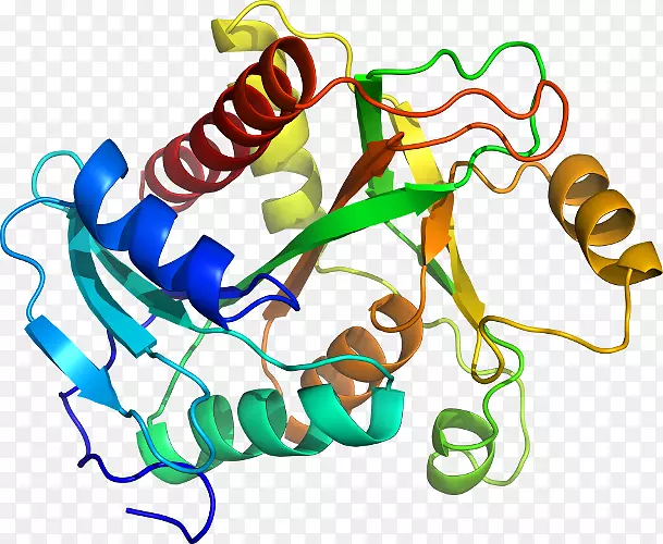 溶酶体酸脂肪酶缺陷型溶酶体胆固醇酯酸脂肪酶病