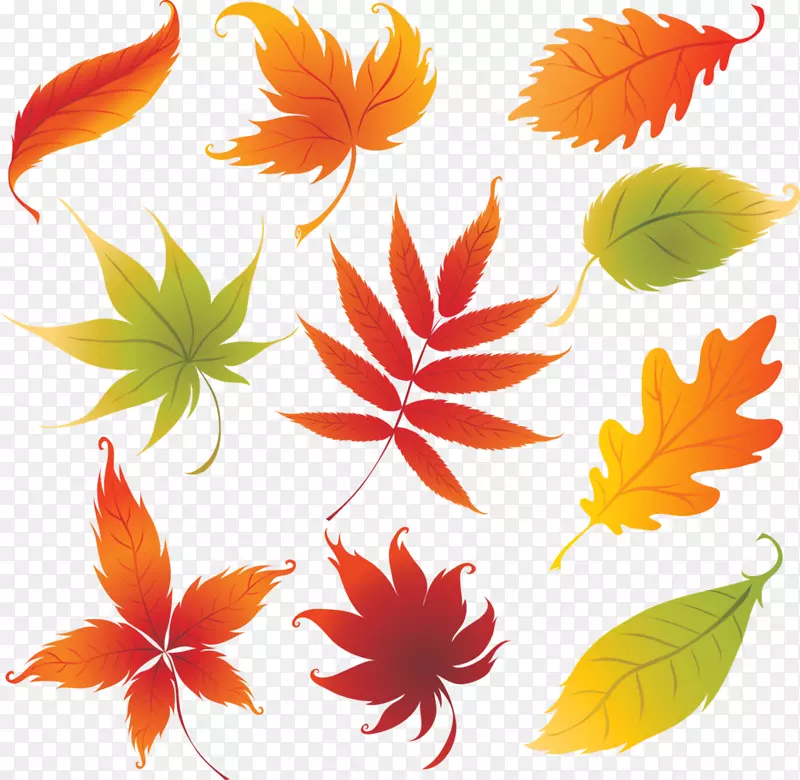 绘制秋叶颜色-设计