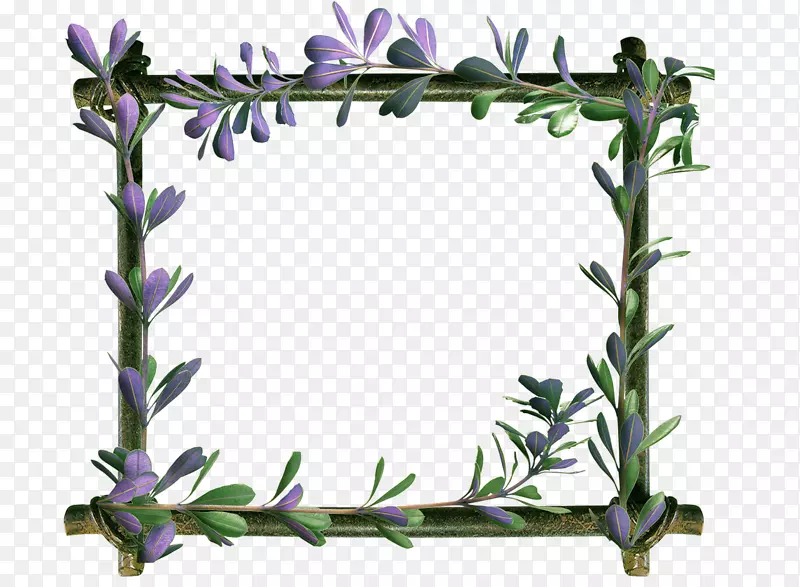 花卉设计画框长方形3月8日设计