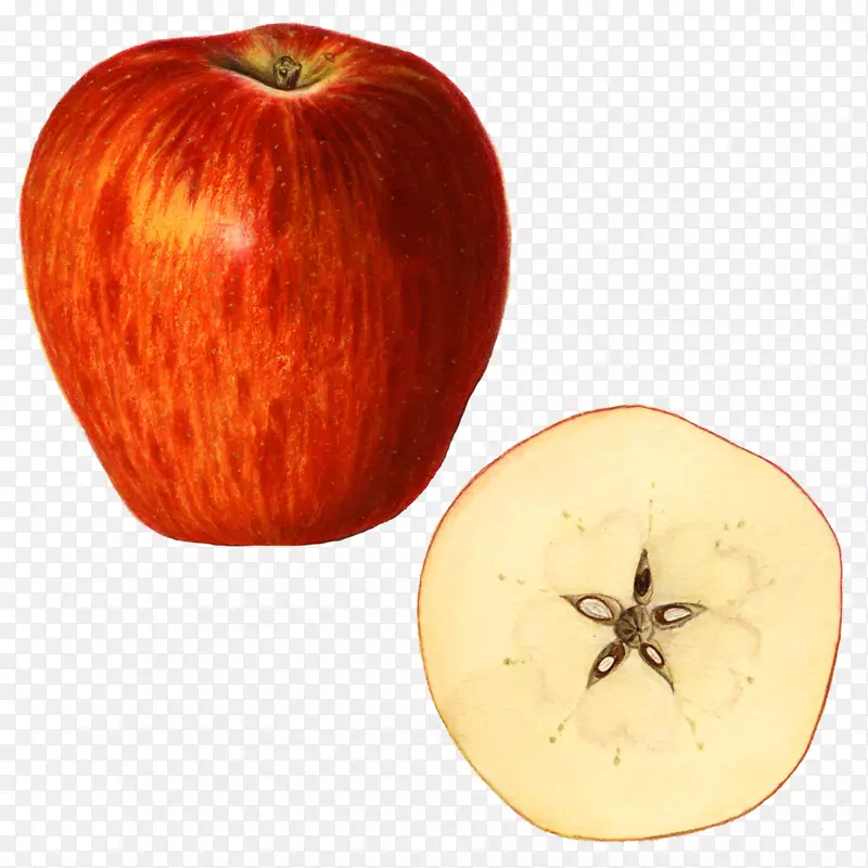 苹果冬瓜重公斤