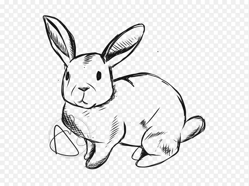 国内野兔线艺术须画-兔