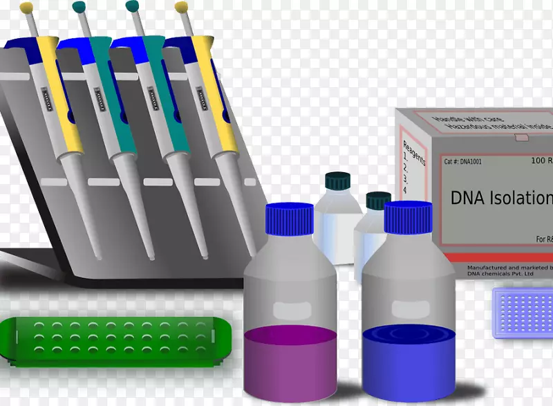 分子生物学分子遗传学聚合酶链反应-遗传学检测