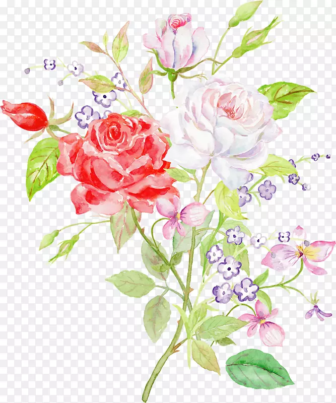 花园玫瑰花卉设计