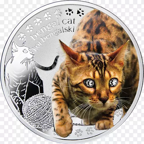 加利福尼亚孟加拉猫翻龙里玩具八角硬币