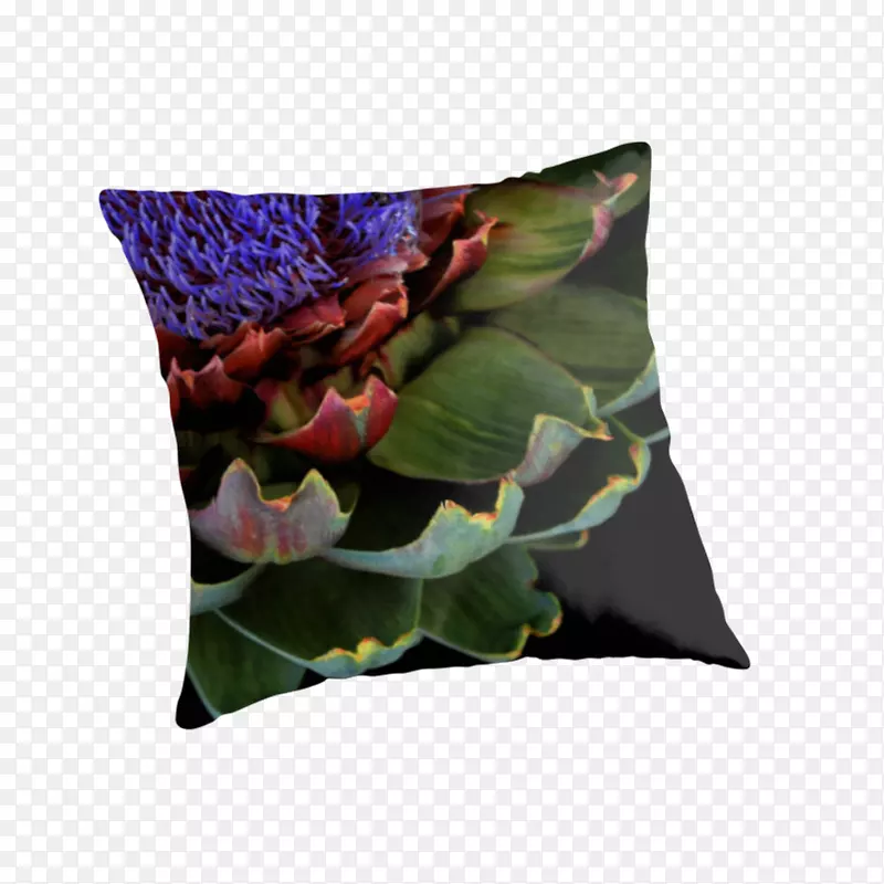 投掷枕头垫植物-枕头