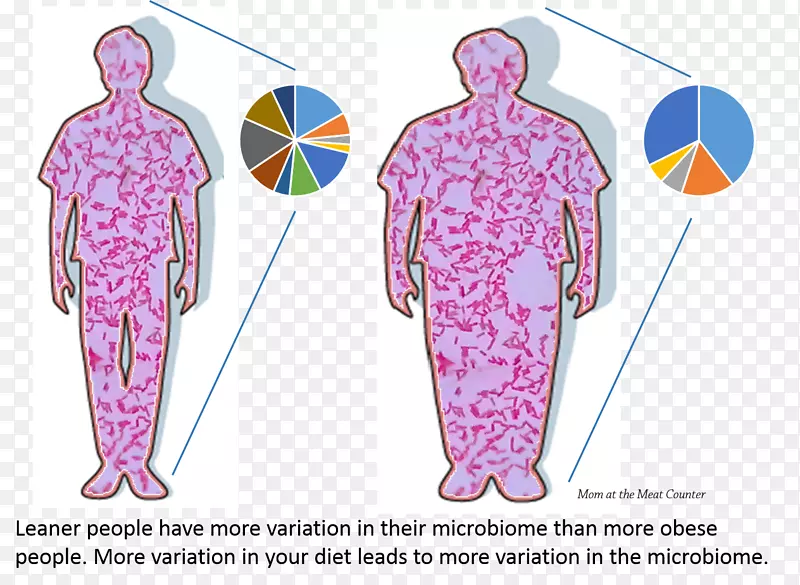 人类微生物组计划微生物群肠道菌群肥胖细菌-健康