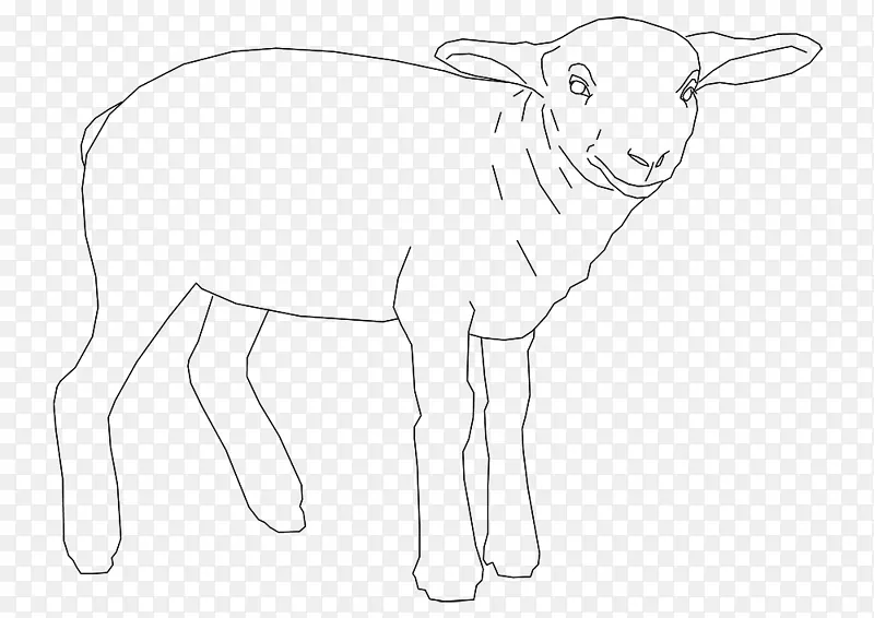 羊/米/02csf牛系艺术-绵羊