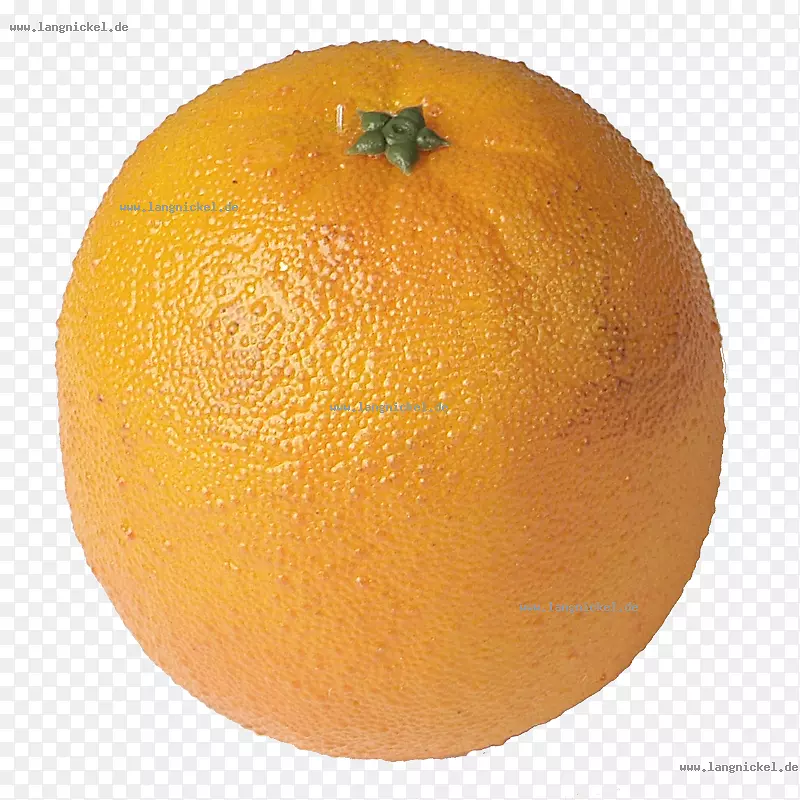 克莱门汀橘子橙朗普尔橙
