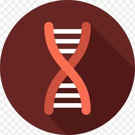 生物计算机图标dna表观遗传学-骨折