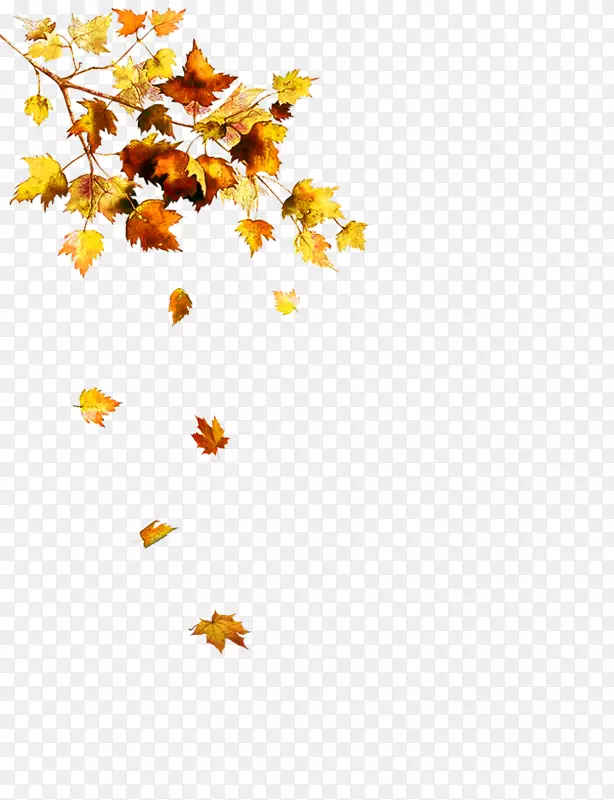 秋叶剪贴画-秋天