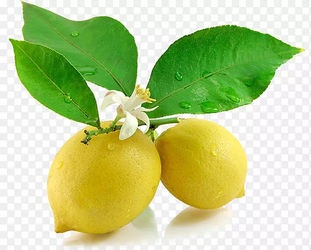柠檬汁波斯酸橙食品-柠檬