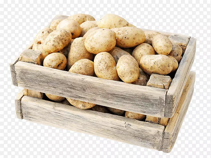 马铃薯玉米块茎业务销售-马铃薯