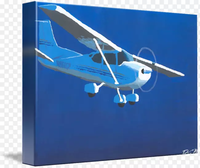 轻型飞机航空Cessna 172展览馆包装-飞机