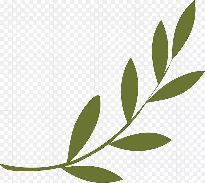 橄榄枝和平符号橄榄花环象征
