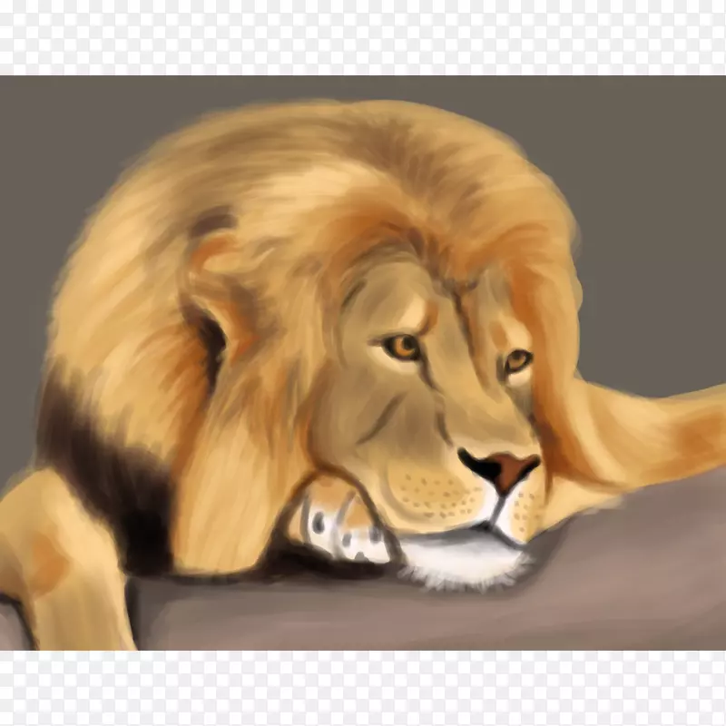 数码绘画数字插图猫须.狮子奔跑