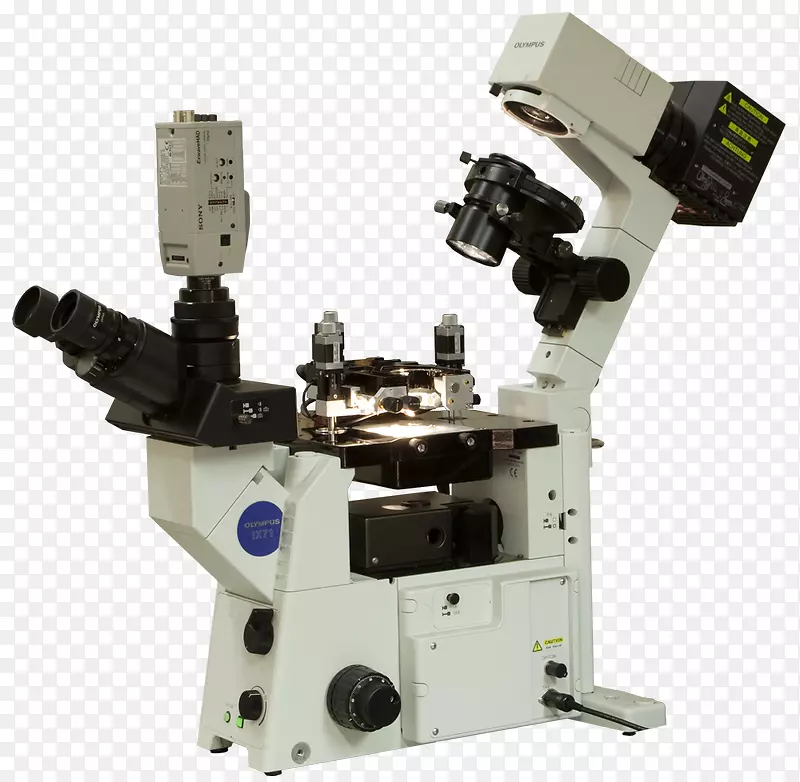 扫描隧道显微镜扫描探针显微镜原子力显微镜光学显微镜