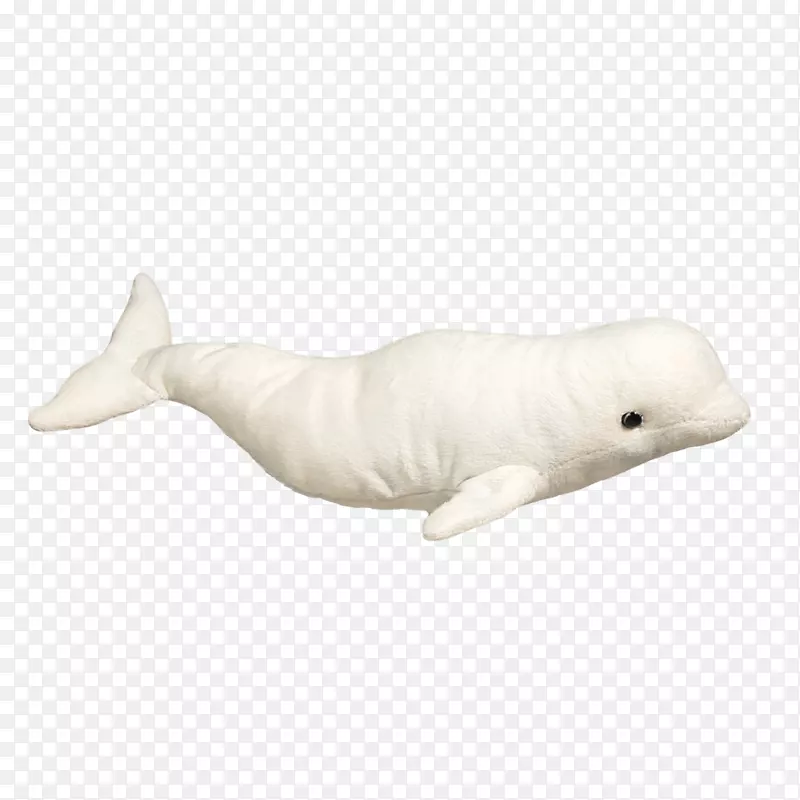 图库西白鲸填充动物&可爱玩具