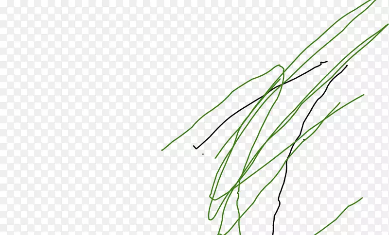 禾本科植物茎叶线艺术角叶