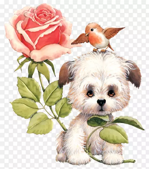 狗-狗玫瑰