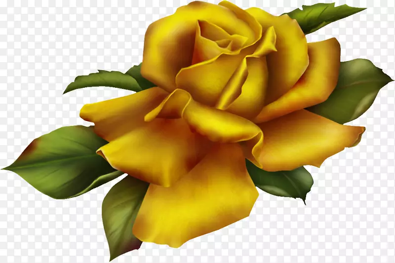 花园玫瑰金色玫瑰剪贴画玫瑰金
