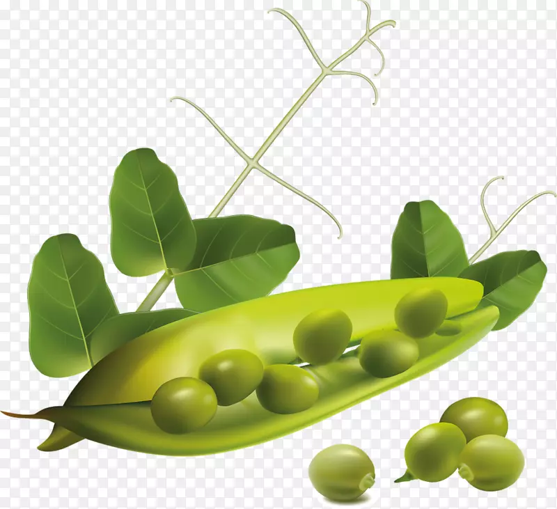 豌豆蔬菜夹艺术-豌豆