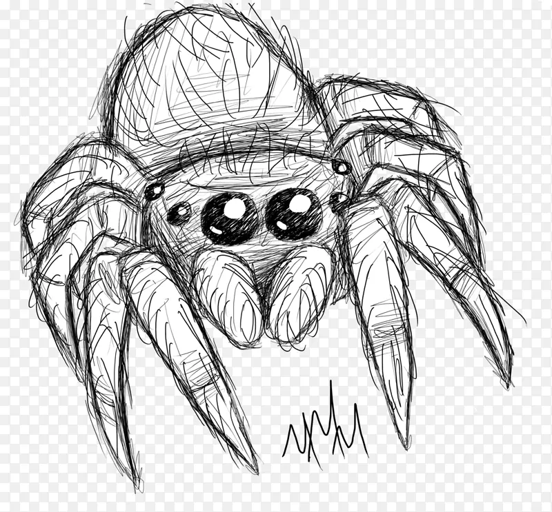 蜘蛛线画素描蜘蛛