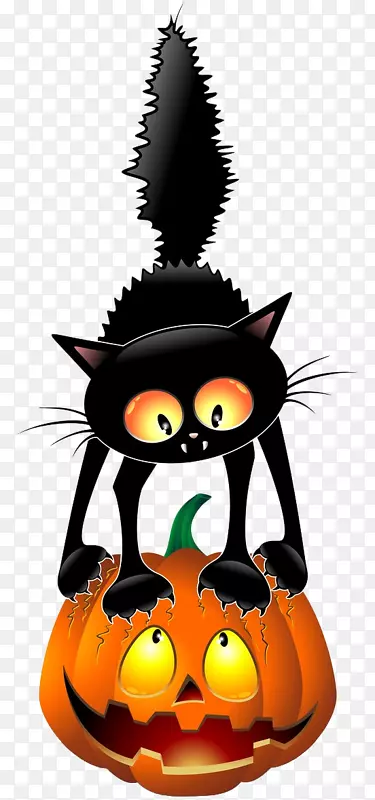 黑猫万圣节剪贴画-万圣节猫