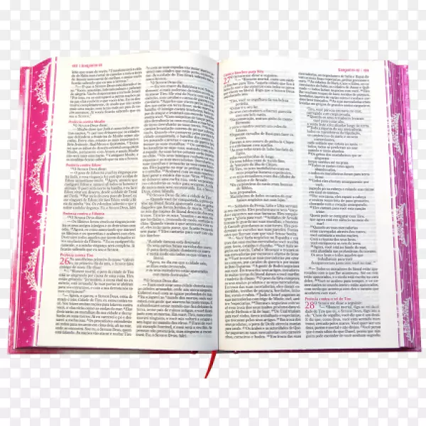 Biblia sagrada da princesinha圣经托马斯纳尔逊-希拉e
