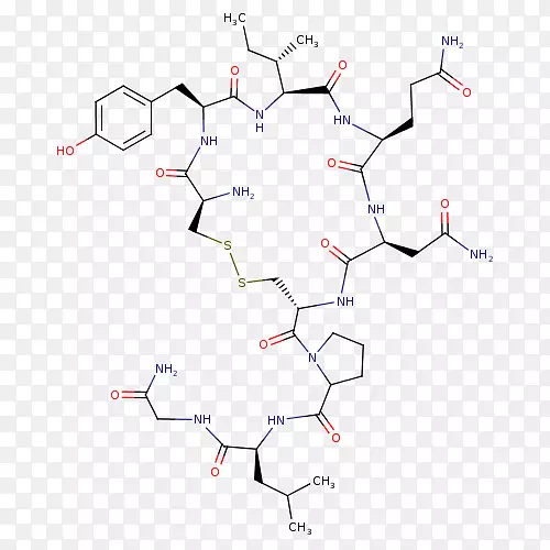 肽合成分子生物学化学合成氨基酸缩宫素
