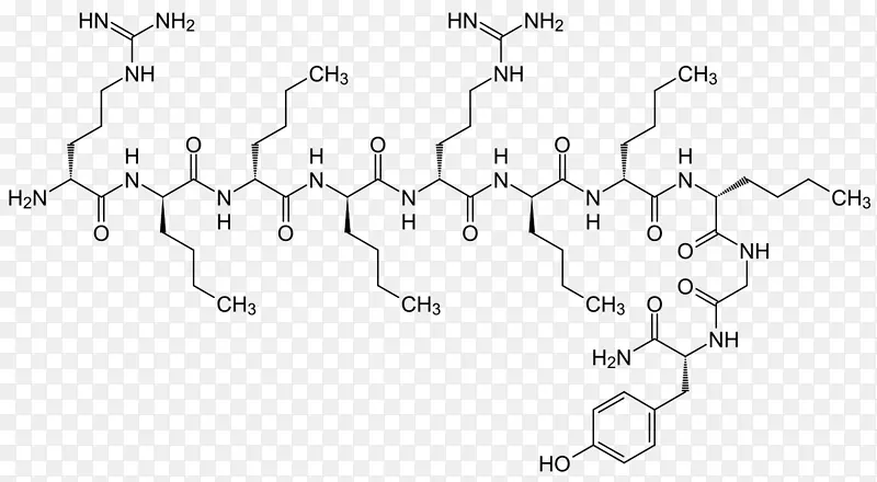 内啡肽α-内啡肽β-内啡肽神经递质-催产素